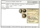 Karteikarte zum Syntyp von Biloculina anodonta Karrer, 1868